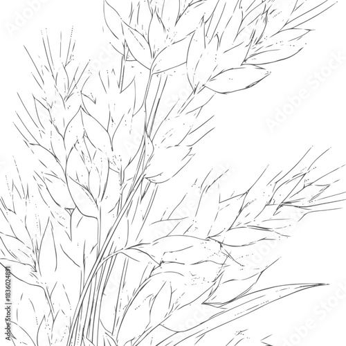 Botanical simplicity: Delicate line drawing of stylized meadow grass seed heads, elegant natural art
