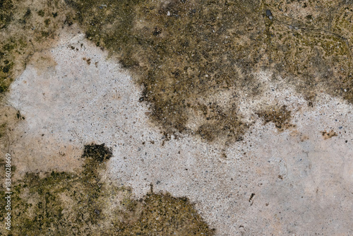 Concrete Texture with Moss and Stains