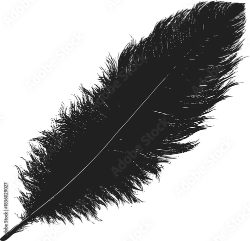 Abstract avian quill design, unique textural feather silhouette artistic interpretation