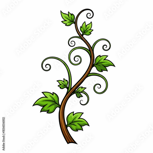 Cartoon vine art featuring green leaves spiraling around plant stem. Cartoon vine illustration, design element, shows botanical nature with graceful swirls.