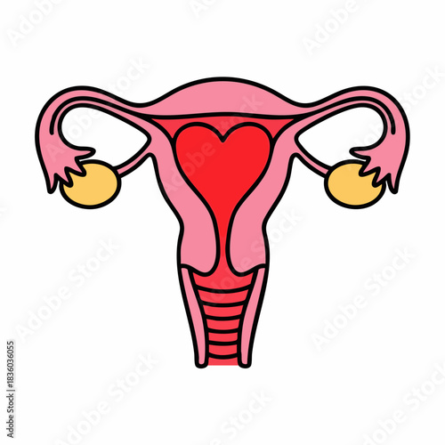 Uterus illustration shows reproductive organ. Heart-shaped uterus demonstrates woman anatomy and medical symbol for health. Anatomical uterus icon for design and medical designs.