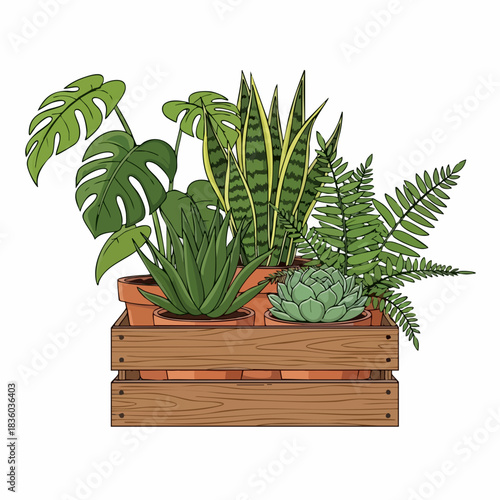 Potted plants, featuring monstera, aloe, and fern, showcase botanical variety in wooden crate. Potted plants add fresh elements to interior decor with their unique leaf structures and textures,