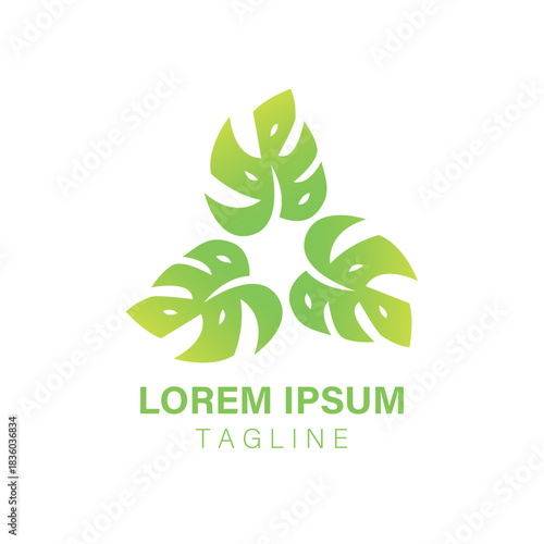 Vibrant tropical Monstera leaf logo design concept illustrating natural growth and botanical beauty for modern branding; a fresh and organic essence symbol