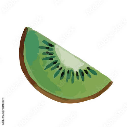 Watercolor and print-style kiwi fruit illustration
