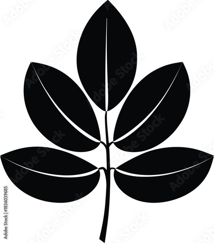 Outline beauty and personal care product packaging vector set isolated on white background, illustration