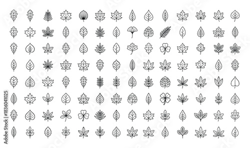 Diverse Leaves Collection: Minimalist Botanical Vector Art Compilation