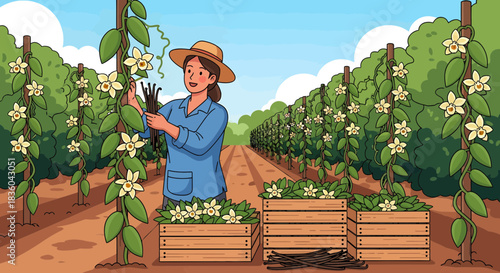 Vanilla Farmer harvesting pods in a sunny organic botanical garden scene