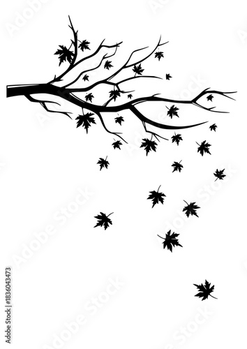 Create a powerful and mysterious ambiance with a solid black background, perfect for adding text or graphics to make a bold statement