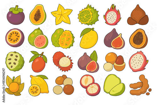 Colorful assortment of tropical fruits including mangosteen, dragon fruit, and star fruit on a white background
