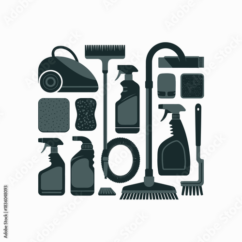 Collection of cleaning supplies and tools for home hygiene