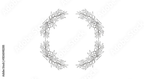 A delicate and minimalist hand-drawn wreath made of olive branches creating an elegant circular frame for logo or invitation design.