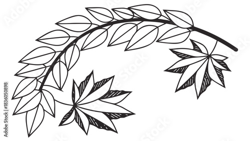 Sketch of Curved Branch with Maple and Oval Leaves, A black and white sketch of a curved branch featuring both simple oval leaves and more detailed maple leaves.