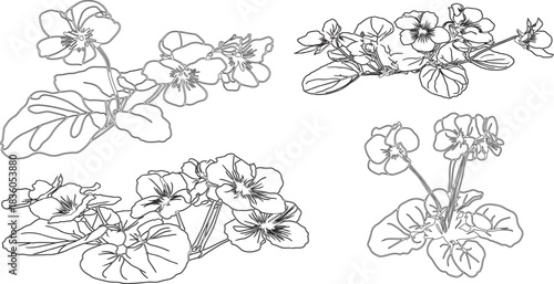 hand drawn flowers or sketch art silhouette vector of plants with various branches of it.