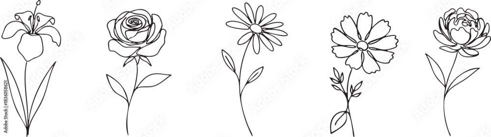 Obraz premium Continuous Line Art Floral Collection