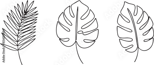Minimalist Tropical Leaf Line Art Set: Palm and Monstera