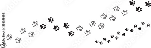 Set of Hand Drawn Animal Paw Print Tracks and Borders