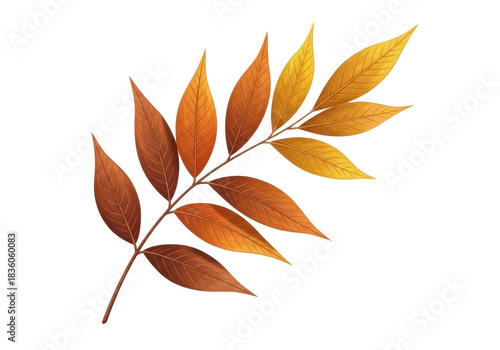 Slender branch with elongated leaves in deep terracotta, pumpkin orange, and golden yellow, subtle veins, on transparent background with copy space. Stylized digital illustration, painterly textured,