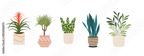Vibrant Indoor Potted Plants Collection”