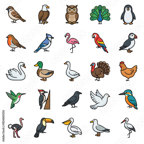 Comprehensive set of various bird species icons, featuring common, exotic, and domestic birds in a charming flat vector illustration style.