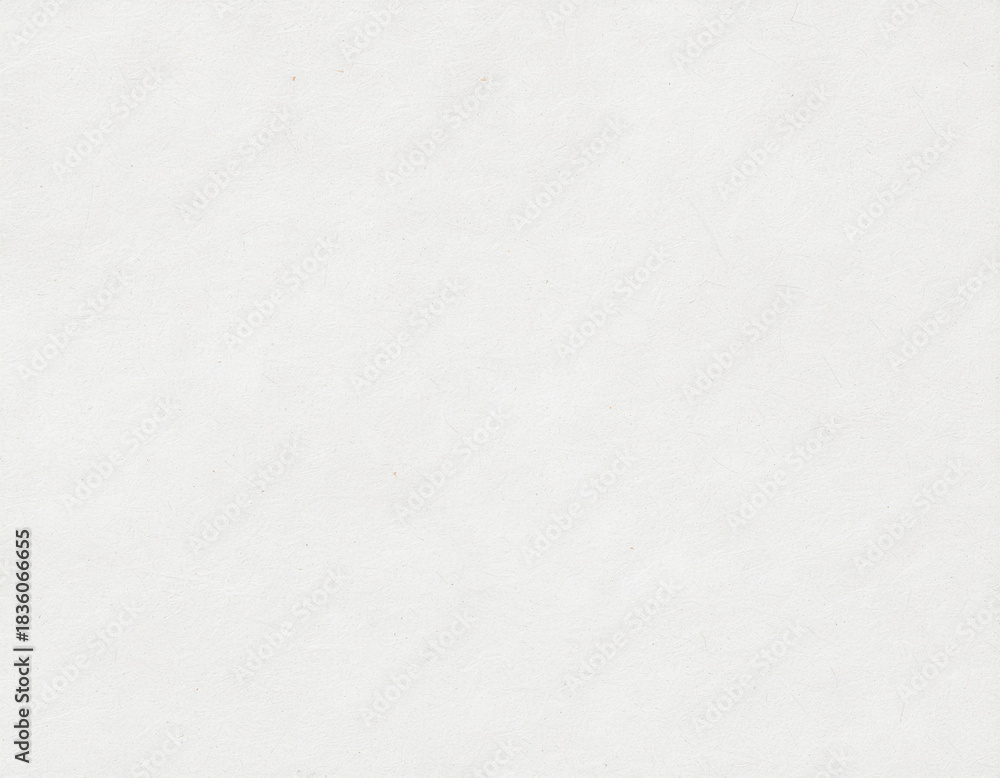 Obraz premium Ultra-Matte Fiber Washi Texture — Fine Organic Fibers with a Calm Monochrome Surface, Premium High-Resolution Minimal Japanese Background