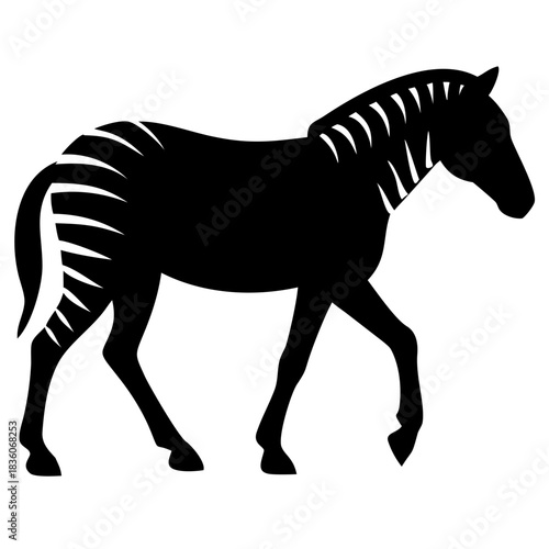 zebra  silhouette