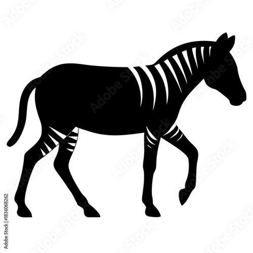 zebra  silhouette