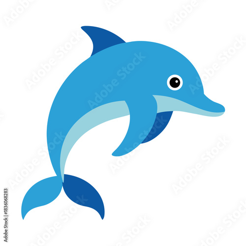 dolphin isolated on white background