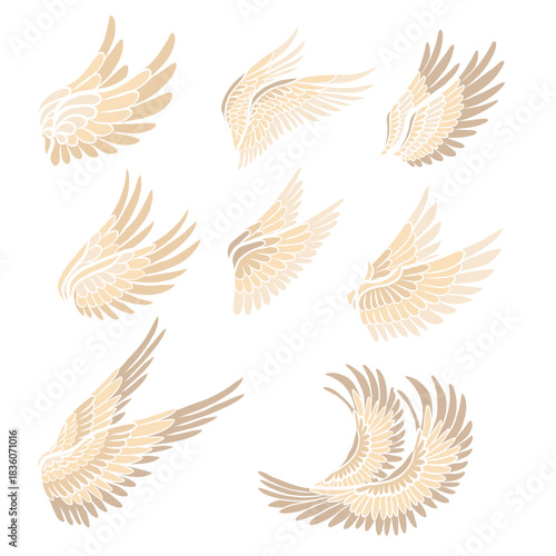 Vector set of bird wings. Collection of angel clip arts wings isolated of the background. Spiritual symbol of freedom
