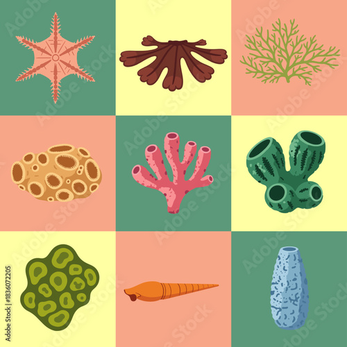 set illustration vector graphic of various kinds of marine plants