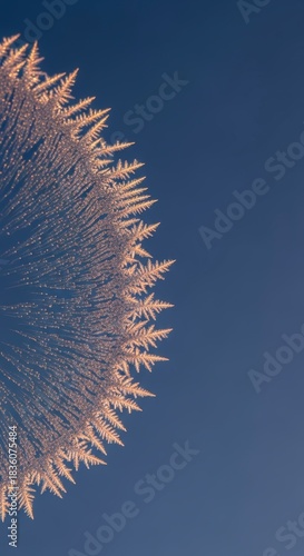 Close-up of frost patterns on a window against a clear blue sky, showcasing intricate ice crystals.