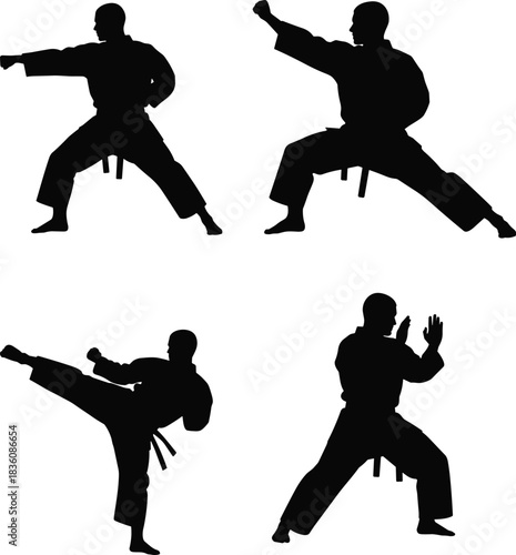 Dynamic martial arts silhouettes demonstrating self-defense techniques, ready for action, fitness training, and powerful movement poses for coaching visuals