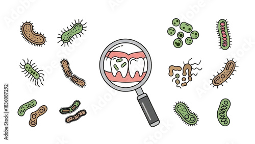 Dental Health Examining Tooth Decay and Bacteria with a Magnifying Glass