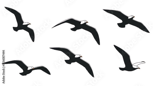 Seagulls Soaring A Collection of Birds in Flight Illustration