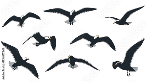 Diverse Illustrations of Seagulls in Flight Against a Clear Sky for Design