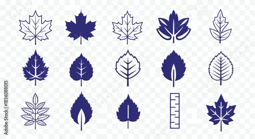 A diverse set of fifteen dark blue leaf icons including maple and oak is presented in both solid and outline styles on a transparent background.