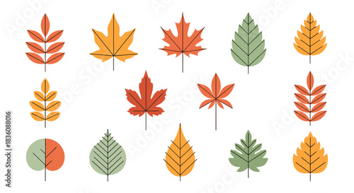 A colorful collection of fifteen autumn leaves is displayed in a modern flat design with some featuring simple line details on white.