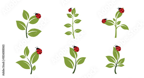A charming set of six illustrations shows a single red ladybug resting on various green plant sprigs and leaves on a white background.