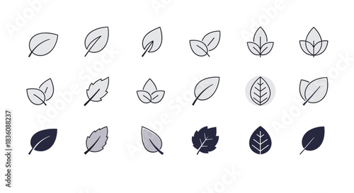 A large set of minimalist leaf icons is displayed in various outline and solid styles using a simple grey and dark blue color palette.