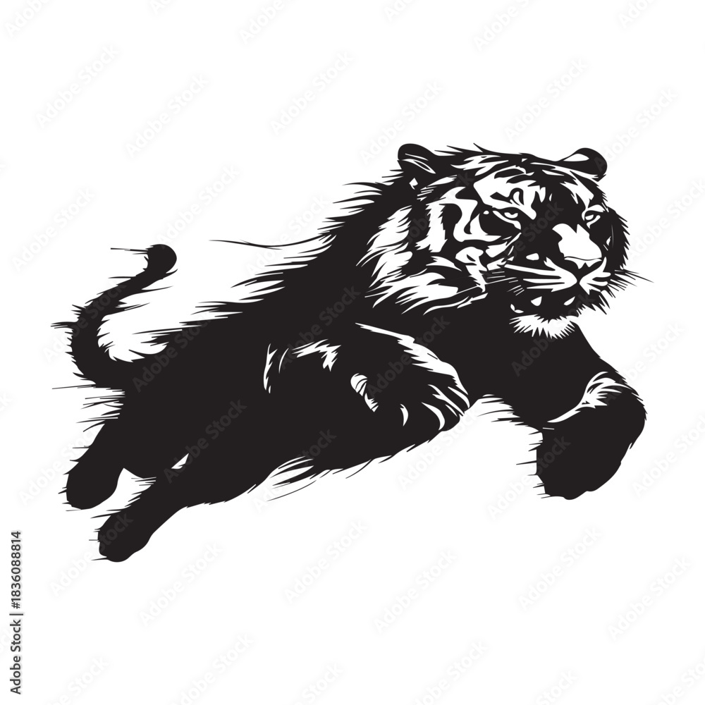 Obraz premium tiger vector illustration on white background