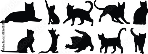 Black cat silhouettes collection featuring various feline poses playful sitting walking stretching jumping animals vector graphics illustration for design projects