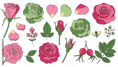 An assortment of colorful roses rosebuds leaves and a small bee illustration
