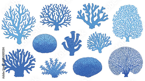 A collection of vibrant blue coral and sea life illustrations on white