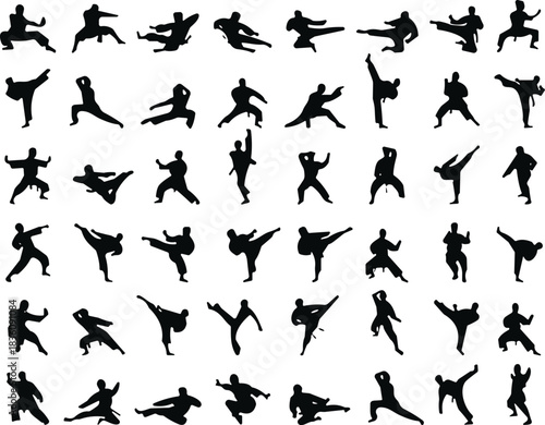 Martial arts karate silhouette fighters performing kicks punches poses training movements action stances combat techniques workout exercises for sports design