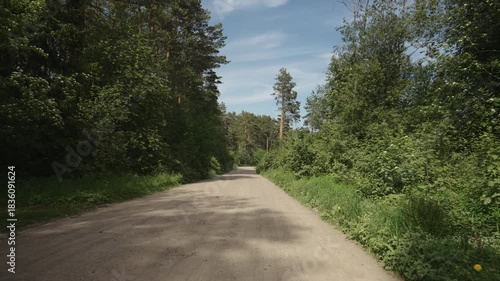 Slow motion driving plate through forest in sunny summer day
