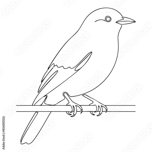 Line drawing of a bird perched on a branch animal wildlife