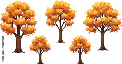Autumn forest trees illustration set featuring vibrant orange foliage, seasonal nature elements, decorative botanical artwork, and colorful fall landscape vector design accents