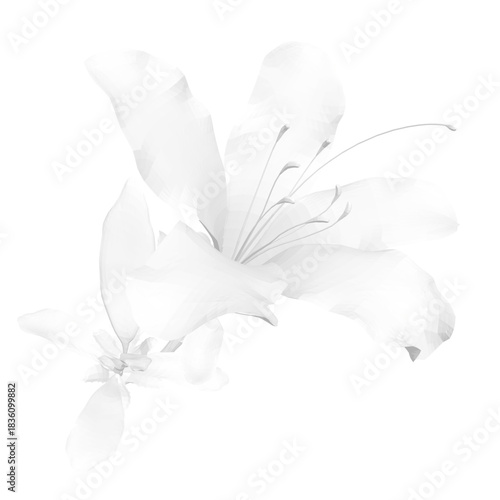 A white lily in full bloom with bright center and leaves stands against a stark white background. The polygonal style creates a modern, graphic floral illustration.
