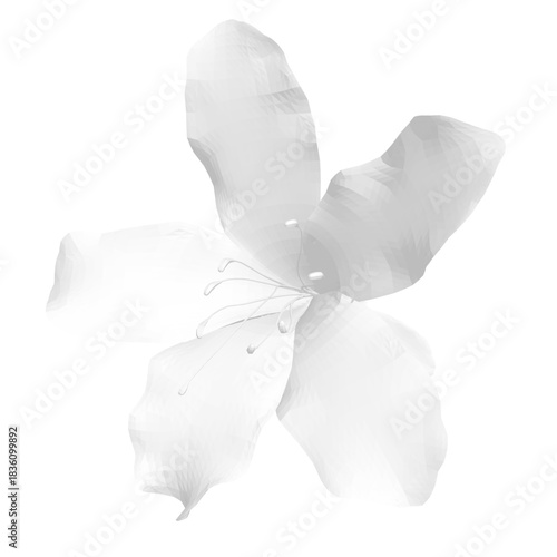 A white rhododendron flower in full bloom with bright center and leaves stands out against a plain white background.