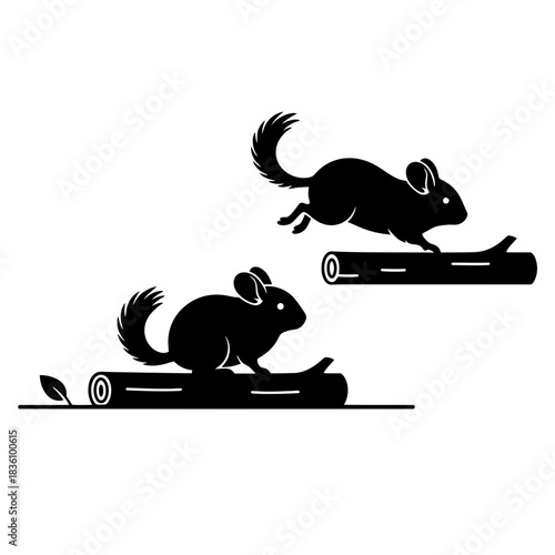 Two chinchillas playing minimal line art style on dark background