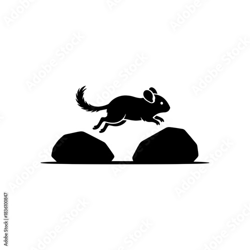 Chinchilla silhouette jumping between minimal rocks action scene